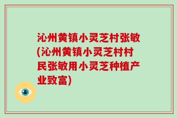 沁州黄镇小灵芝村张敏(沁州黄镇小灵芝村村民张敏用小灵芝种植产业致富)