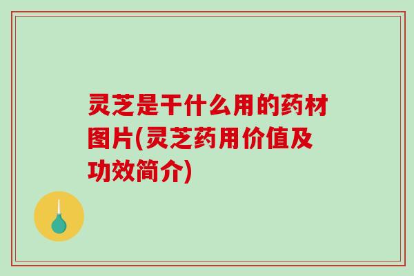 灵芝是干什么用的药材图片(灵芝药用价值及功效简介)