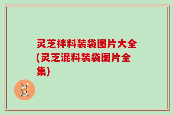 灵芝拌料装袋图片大全(灵芝混料装袋图片全集) 灵芝拌料装袋图片大全(灵芝混料装袋图片全集)