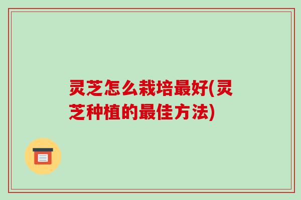 灵芝怎么栽培好(灵芝种植的佳方法)