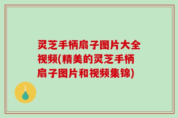 灵芝手柄扇子图片大全视频(精美的灵芝手柄扇子图片和视频集锦) 灵芝手柄扇子图片大全视频(精美的灵芝手柄扇子图片和视频集锦)