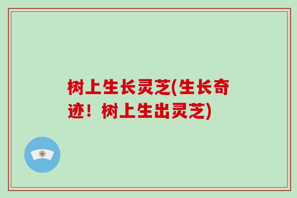 树上生长灵芝(生长奇迹!树上生出灵芝) 树上生长灵芝(生长奇迹!树上生出灵芝)