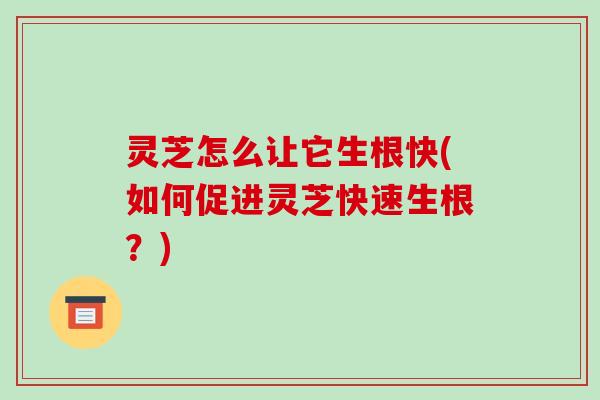 灵芝怎么让它生根快(如何促进灵芝快速生根?) 灵芝怎么让它生根快(如何促进灵芝快速生根?)