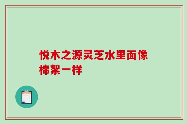 悦木之源灵芝水里面像棉絮一样 悦木之源灵芝水里面像棉絮一样