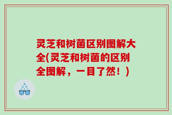 灵芝和树菌区别图解大全(灵芝和树菌的区别全图解，一目了然！)