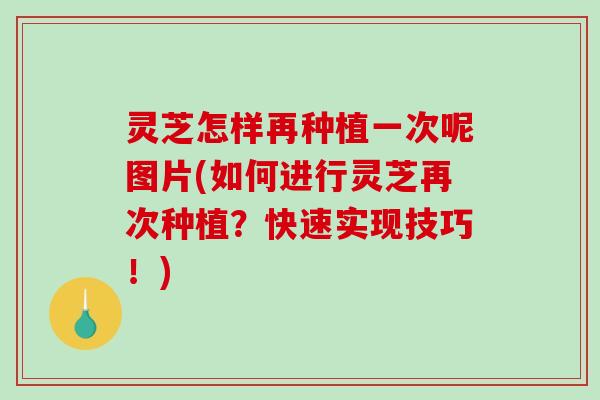灵芝怎样再种植一次呢图片(如何进行灵芝再次种植？快速实现技巧！)