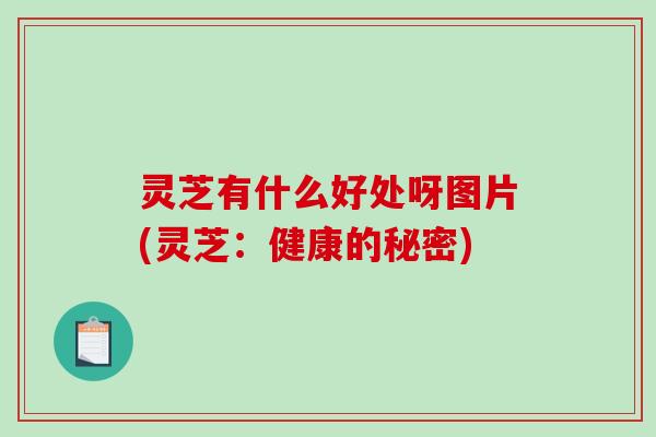 灵芝有什么好处呀图片(灵芝:健康的秘密) 灵芝有什么好处呀图片(灵芝:健康的秘密)