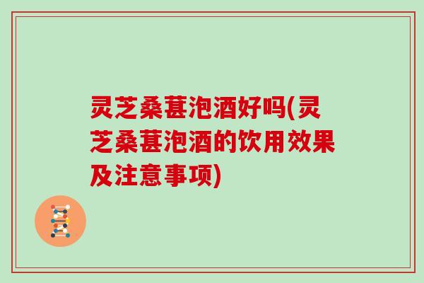 灵芝桑葚泡酒好吗(灵芝桑葚泡酒的饮用效果及注意事项)