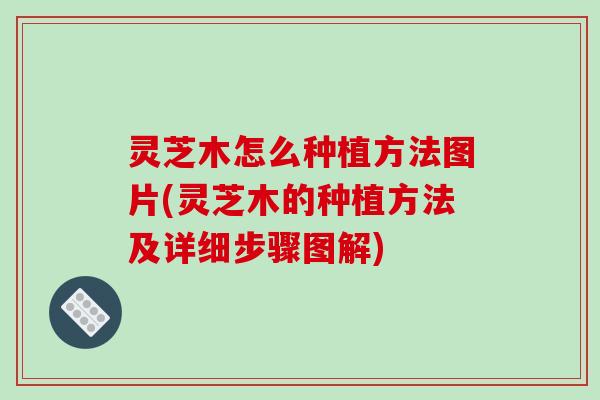 灵芝木怎么种植方法图片(灵芝木的种植方法及详细步骤图解)
