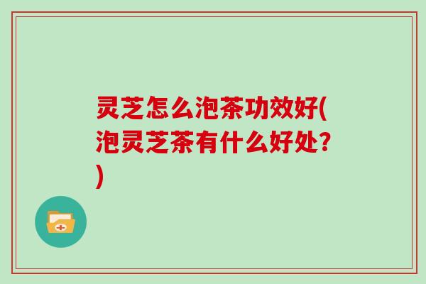 灵芝怎么泡茶功效好(泡灵芝茶有什么好处?) 灵芝怎么泡茶功效好(泡灵芝茶有什么好处?)