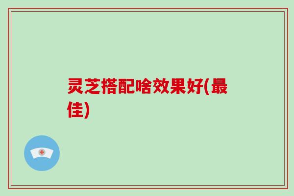 灵芝搭配啥效果好(最佳)