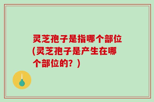灵芝孢子是指哪个部位(灵芝孢子是产生在哪个部位的?) 灵芝孢子是指哪个部位(灵芝孢子是产生在哪个部位的?)