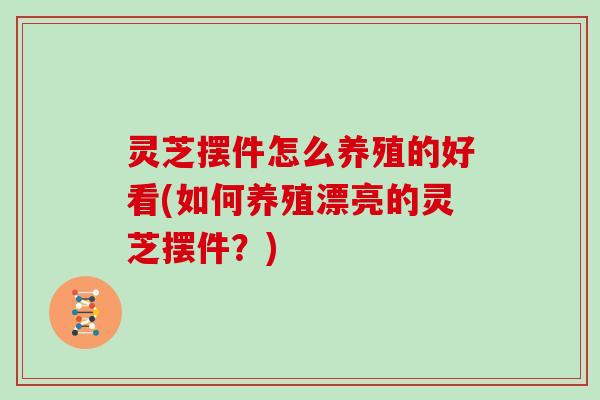 灵芝摆件怎么养殖的好看(如何养殖漂亮的灵芝摆件?) 灵芝摆件怎么养殖的好看(如何养殖漂亮的灵芝摆件?)