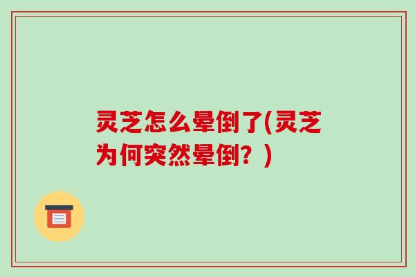 灵芝怎么晕倒了(灵芝为何突然晕倒?) 灵芝怎么晕倒了(灵芝为何突然晕倒?)