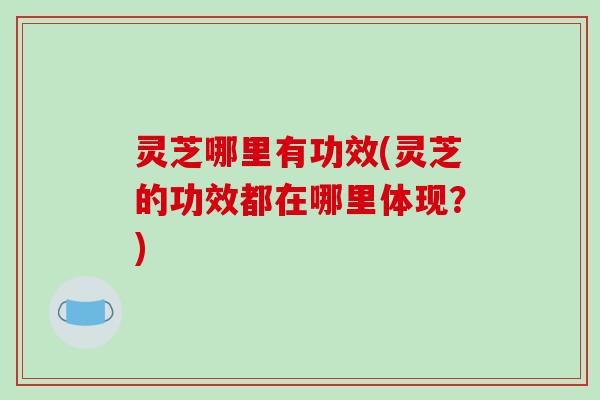 灵芝哪里有功效(灵芝的功效都在哪里体现？)