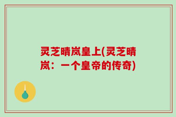 灵芝晴岚皇上(灵芝晴岚：一个皇帝的传奇)