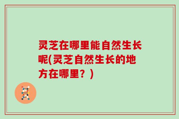 灵芝在哪里能自然生长呢(灵芝自然生长的地方在哪里？)