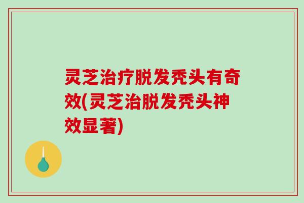 灵芝秃头有奇效(灵芝秃头神效显著) 灵芝秃头有奇效(灵芝秃头神效显著)