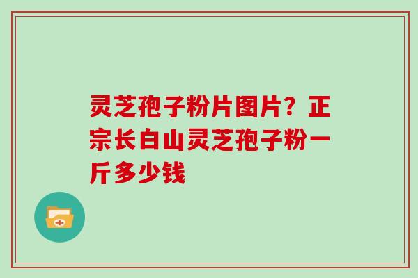 灵芝孢子粉片图片?正宗长白山灵芝孢子粉一斤多少钱 灵芝孢子粉片图片?正宗长白山灵芝孢子粉一斤多少钱