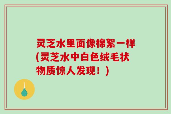 灵芝水里面像棉絮一样(灵芝水中白色绒毛状物质惊人发现!) 灵芝水里面像棉絮一样(灵芝水中白色绒毛状物质惊人发现!)