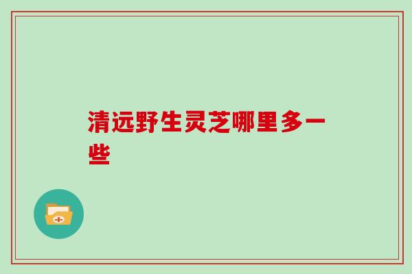 清远野生灵芝哪里多一些