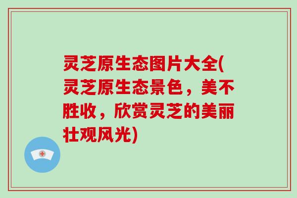 灵芝原生态图片大全(灵芝原生态景色,美不胜收,欣赏灵芝的美丽壮观风光) 灵芝原生态图片大全(灵芝原生态景色,美不胜收,欣赏灵芝的美丽壮观风光)