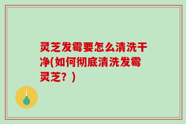 灵芝发霉要怎么清洗干净(如何彻底清洗发霉灵芝？)