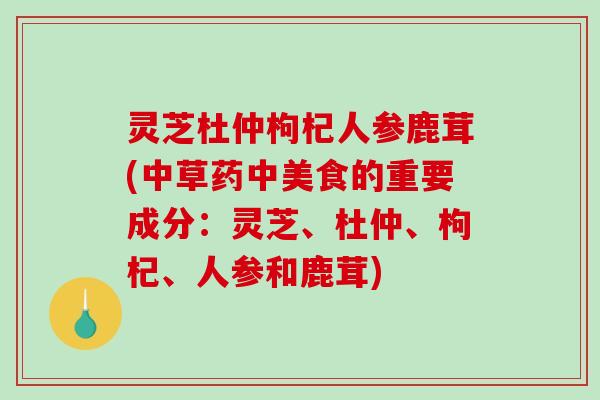 灵芝杜仲枸杞人参鹿茸(中草药中美食的重要成分：灵芝、杜仲、枸杞、人参和鹿茸)