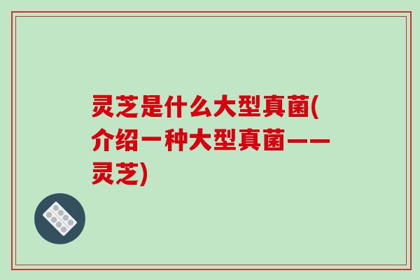 灵芝是什么大型真菌(介绍一种大型真菌——灵芝)