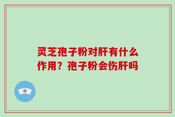 灵芝孢子粉对有什么作用？孢子粉会伤吗