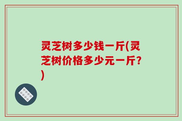 灵芝树多少钱一斤(灵芝树价格多少元一斤？)