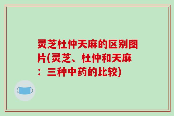 灵芝杜仲天麻的区别图片(灵芝、杜仲和天麻:三种的比较) 灵芝杜仲天麻的区别图片(灵芝、杜仲和天麻:三种的比较)