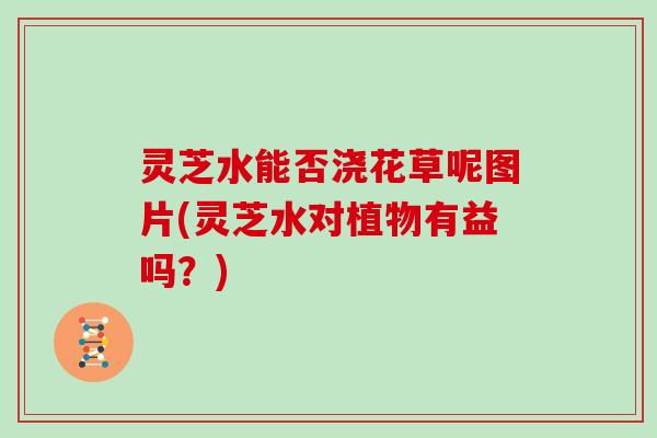 灵芝水能否浇花草呢图片(灵芝水对植物有益吗？)