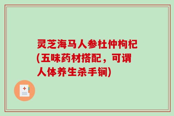 灵芝海马人参杜仲枸杞(五味药材搭配，可谓人体养生杀手锏)