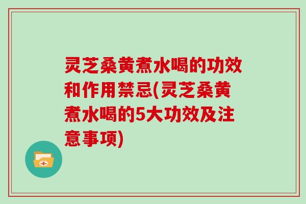 灵芝桑黄煮水喝的功效和作用禁忌(灵芝桑黄煮水喝的5大功效及注意事项)