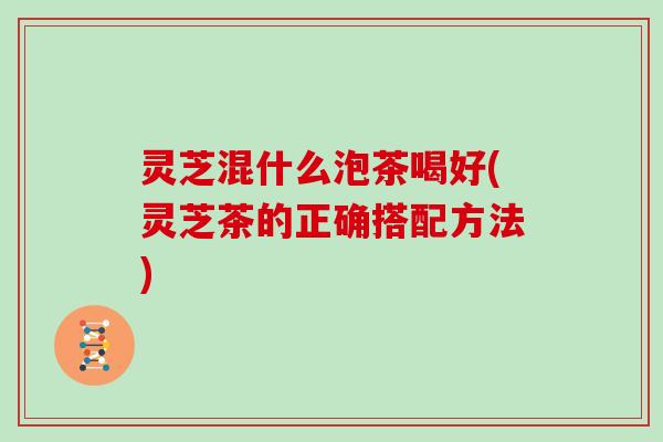 灵芝混什么泡茶喝好(灵芝茶的正确搭配方法)