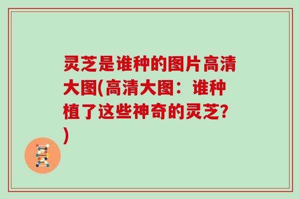 灵芝是谁种的图片高清大图(高清大图：谁种植了这些神奇的灵芝？)