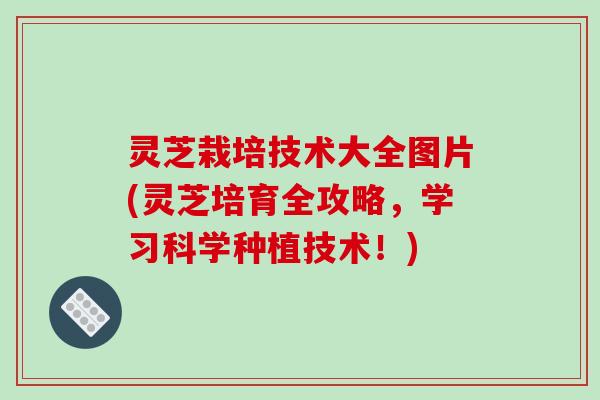灵芝栽培技术大全图片(灵芝培育全攻略,学习科学种植技术!) 灵芝栽培技术大全图片(灵芝培育全攻略,学习科学种植技术!)