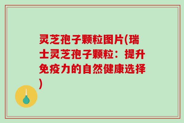 灵芝孢子颗粒图片(瑞士灵芝孢子颗粒:提升免疫力的自然健康选择) 灵芝孢子颗粒图片(瑞士灵芝孢子颗粒:提升免疫力的自然健康选择)