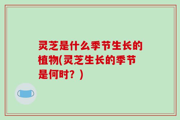 灵芝是什么季节生长的植物(灵芝生长的季节是何时？)