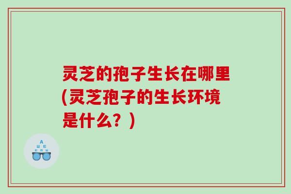 灵芝的孢子生长在哪里(灵芝孢子的生长环境是什么？)