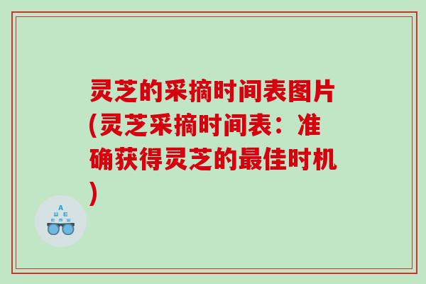 灵芝的采摘时间表图片(灵芝采摘时间表:准确获得灵芝的佳时机) 灵芝的采摘时间表图片(灵芝采摘时间表:准确获得灵芝的佳时机)
