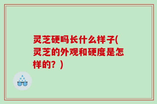 灵芝硬吗长什么样子(灵芝的外观和硬度是怎样的？)