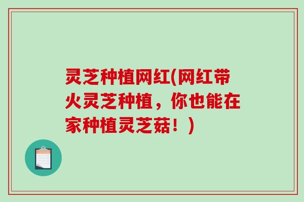 灵芝种植网红(网红带火灵芝种植,你也能在家种植灵芝菇!) 灵芝种植网红(网红带火灵芝种植,你也能在家种植灵芝菇!)
