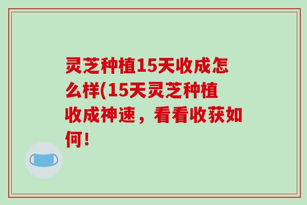 灵芝种植15天收成怎么样(15天灵芝种植收成神速，看看收获如何！