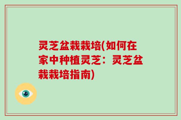 灵芝盆栽栽培(如何在家中种植灵芝：灵芝盆栽栽培指南)
