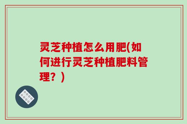 灵芝种植怎么用肥(如何进行灵芝种植肥料管理？)