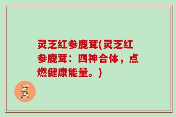 灵芝红参鹿茸(灵芝红参鹿茸：四神合体，点燃健康能量。)
