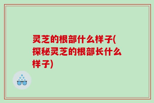 灵芝的根部什么样子(探秘灵芝的根部长什么样子)