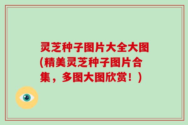 灵芝种子图片大全大图(精美灵芝种子图片合集,多图大图欣赏!) 灵芝种子图片大全大图(精美灵芝种子图片合集,多图大图欣赏!)